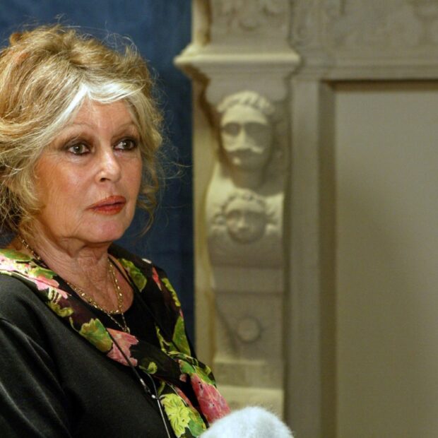 files france cinema obit bardot