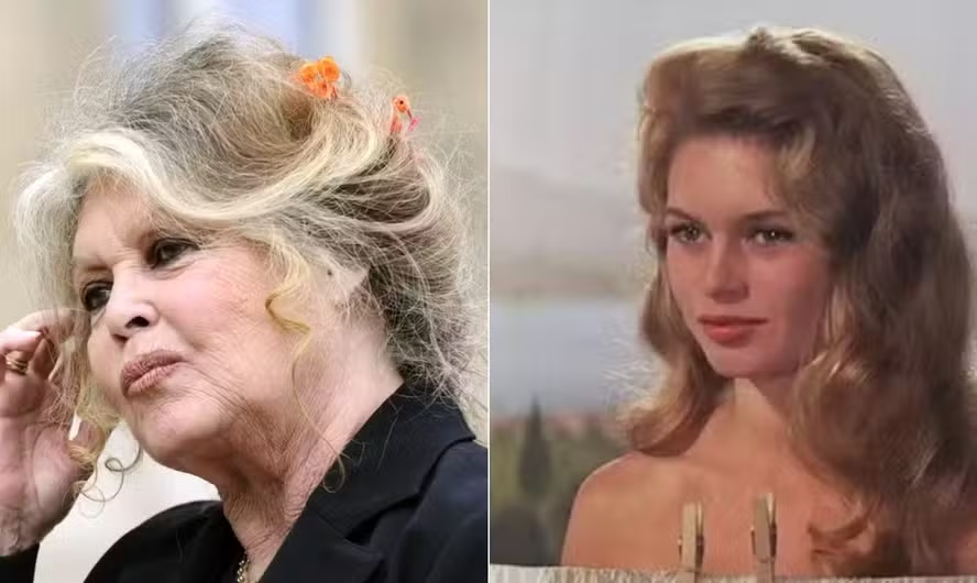 brigitte bardot