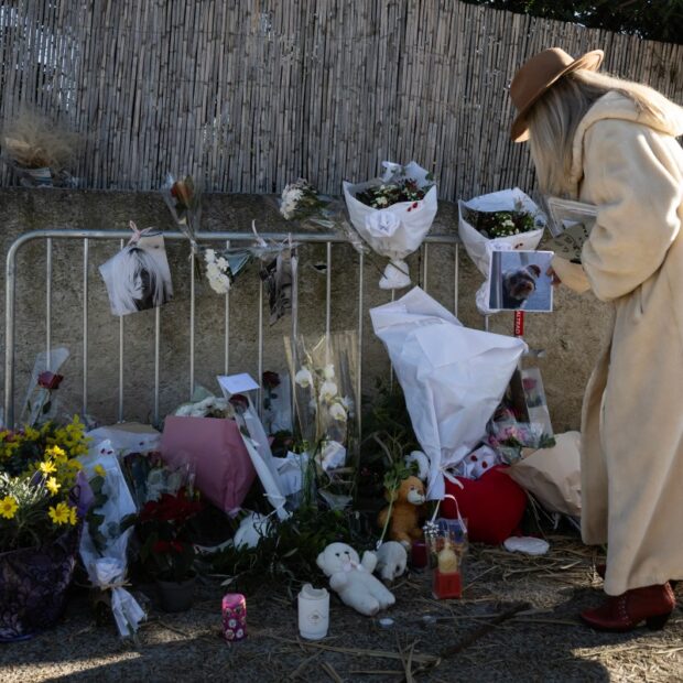 france cinema obit bardot