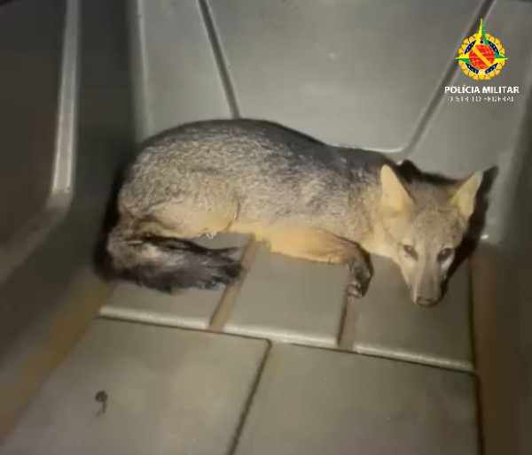 whatsapp image 2025 12 30 at 06.30.20