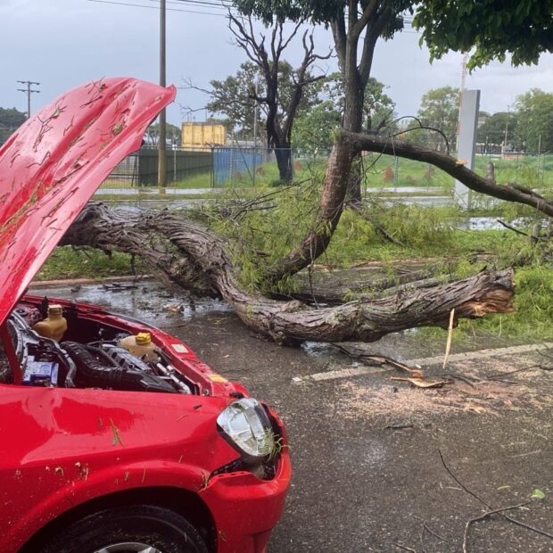 whatsapp image 2025 12 30 at 15.28.14