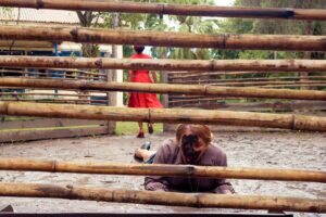 whatsapp image 2025 12 31 at 10.56.53