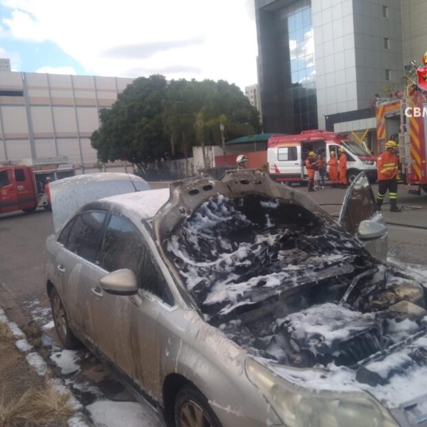 whatsapp image 2026 01 01 at 17.39.06