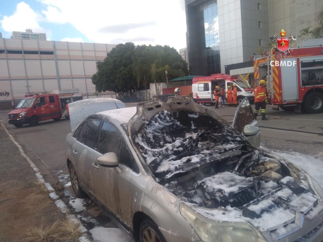 whatsapp image 2026 01 01 at 17.39.06