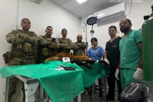 whatsapp image 2026 01 02 at 17.02.44