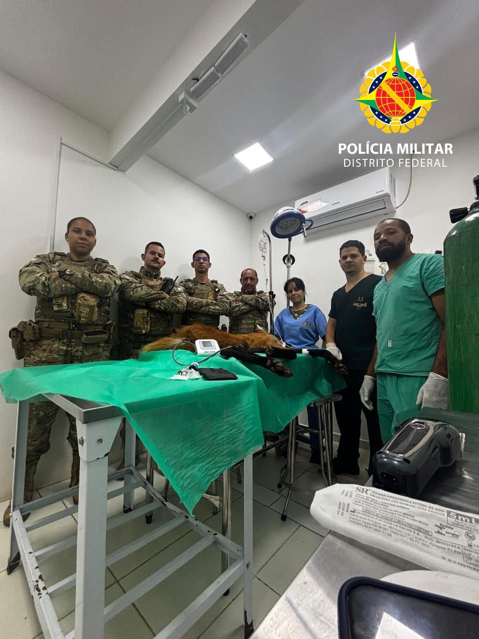 whatsapp image 2026 01 02 at 17.02.44