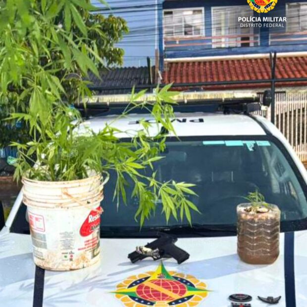 whatsapp image 2026 01 03 at 21.19.59