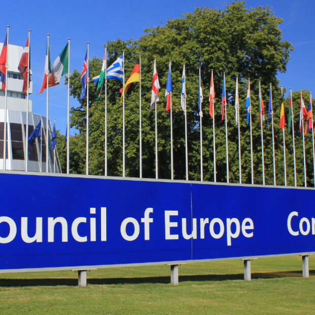 coe reflection group article image