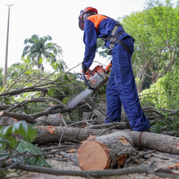 Foto: Tony Oliveira/Agência Brasília