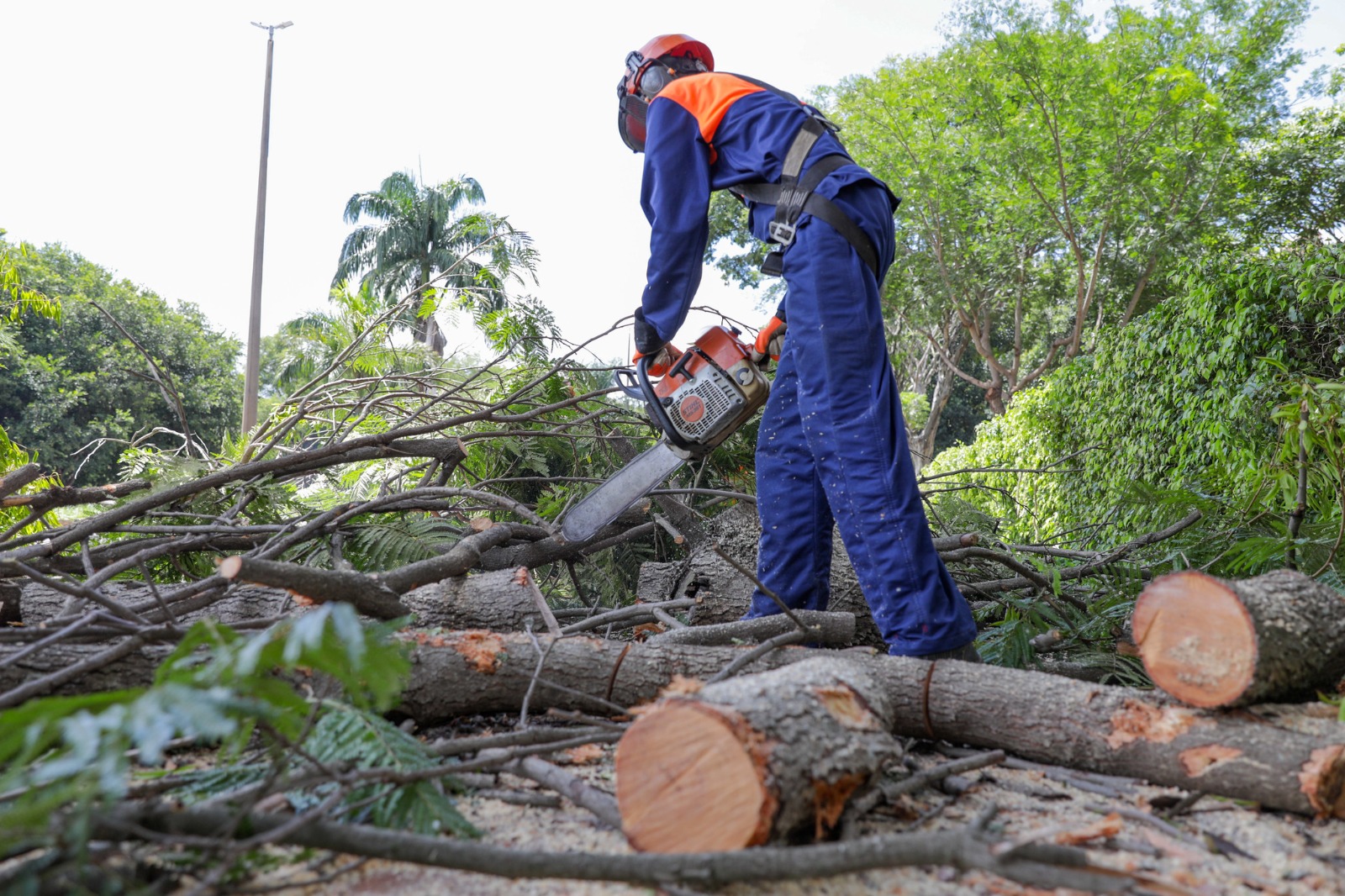 Foto: Tony Oliveira/Agência Brasília