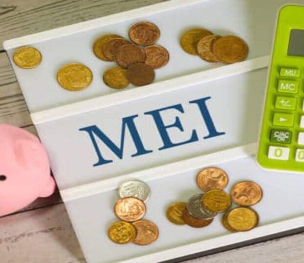 MEI economia