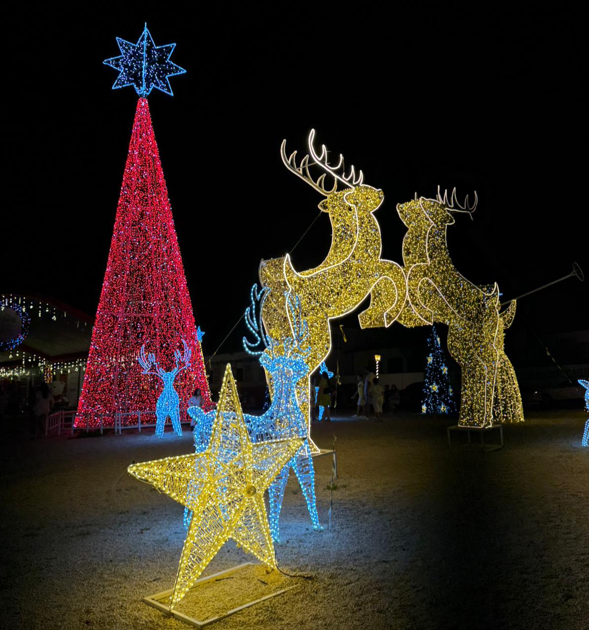 Fotos: Marcelo Chaves e reprodução