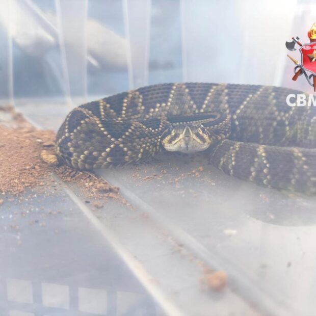 whatsapp image 2026 01 05 at 18.31.41