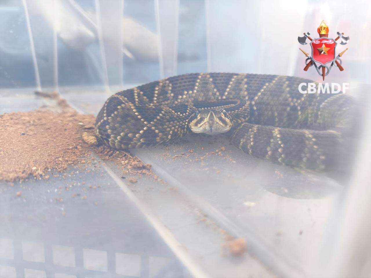 whatsapp image 2026 01 05 at 18.31.41