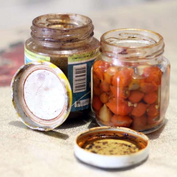 sandro aráujo alimentos vencidos