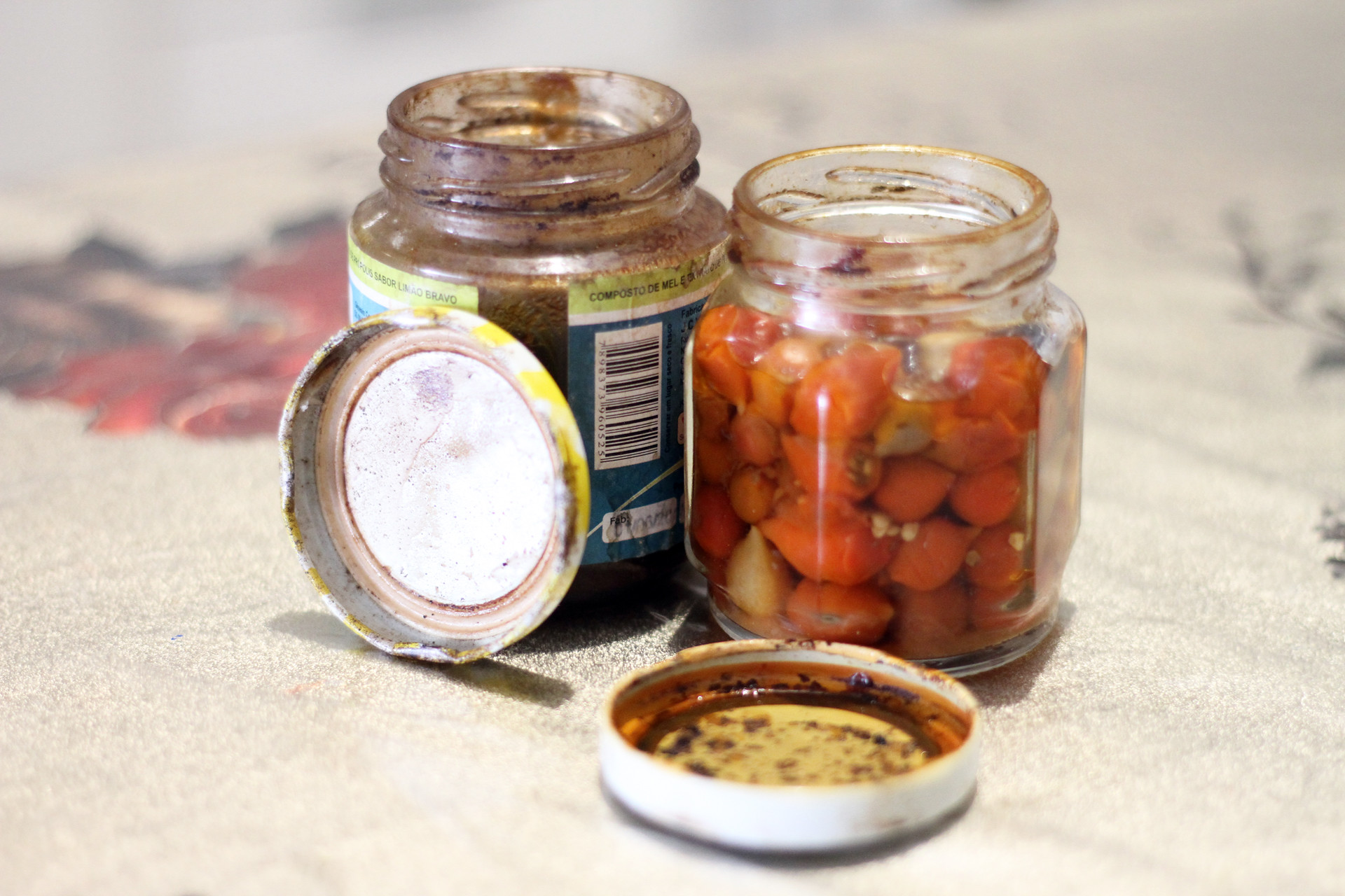 sandro aráujo alimentos vencidos