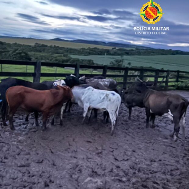 whatsapp image 2026 01 07 at 20.11.38