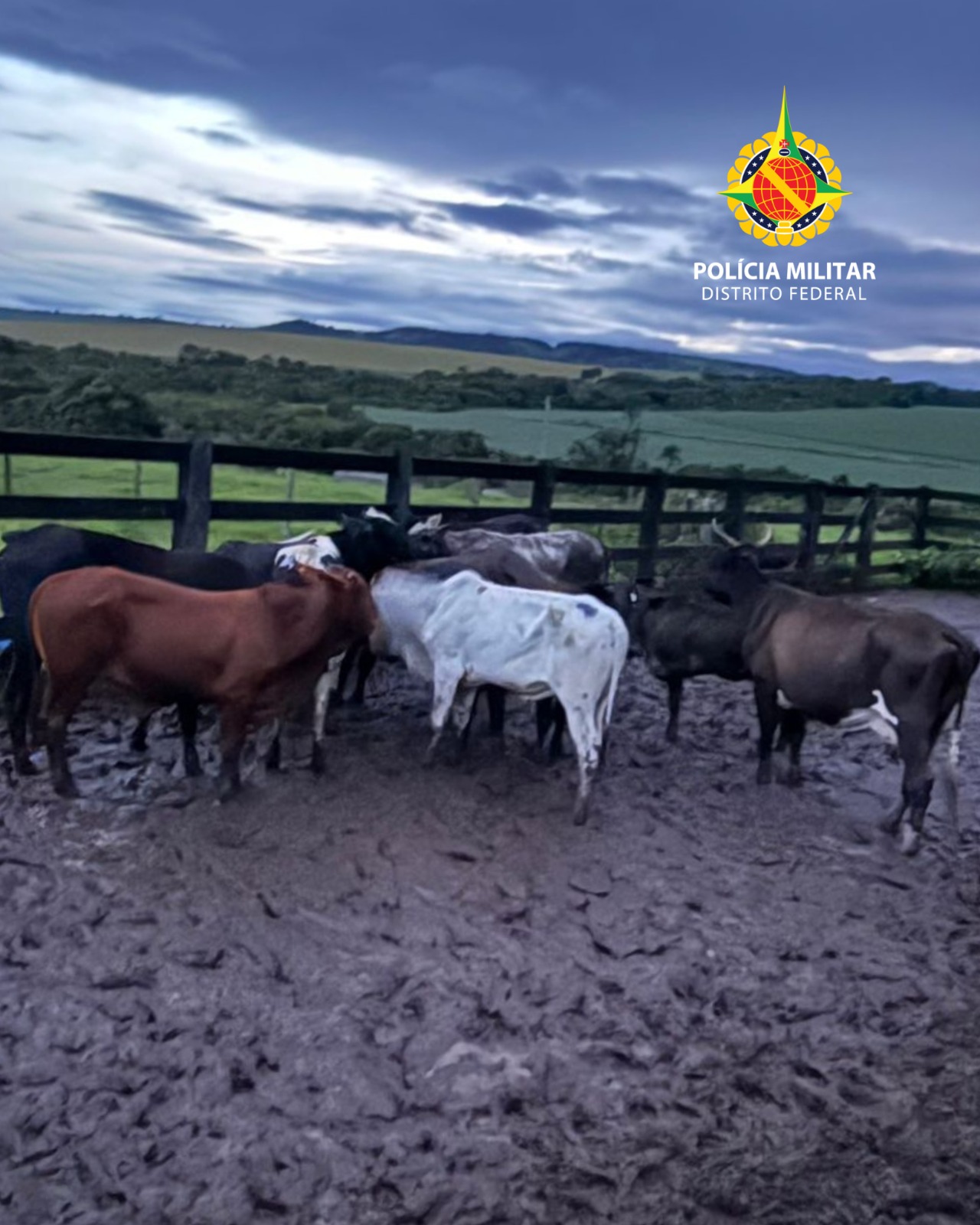 whatsapp image 2026 01 07 at 20.11.38