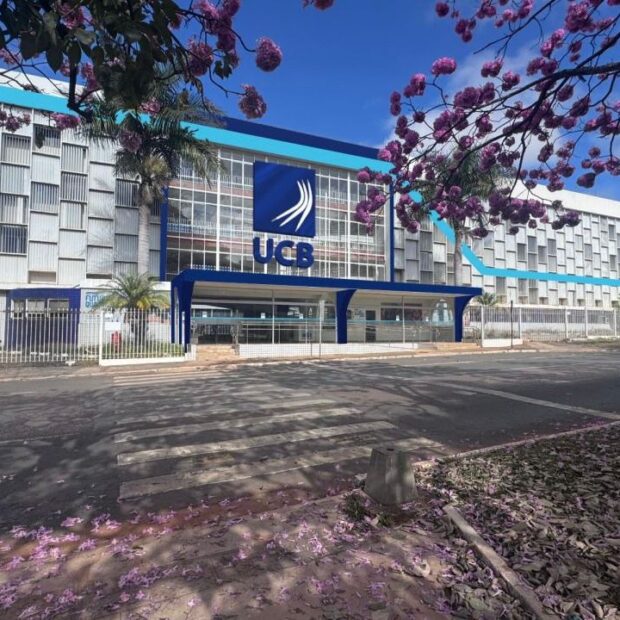 whatsapp image 2026 01 07 at 22.13.00