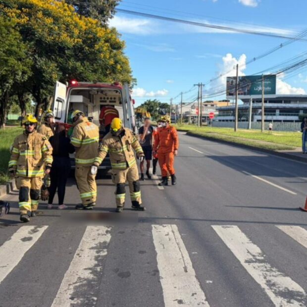 whatsapp image 2026 01 08 at 18.05.17