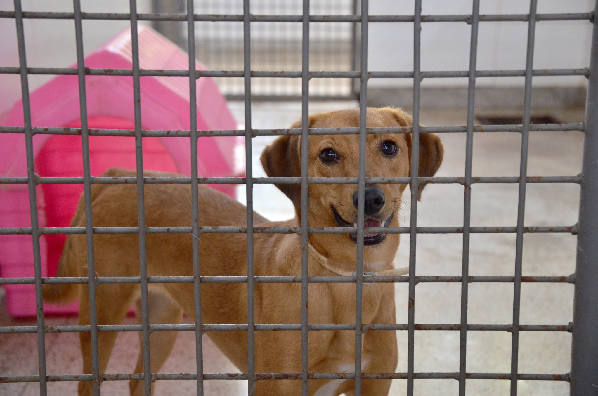 Foto: Yuri Freitas/Agência Saúde-DF