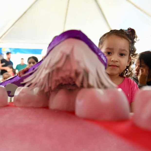 Foto: Divulgação/Sejus-DF