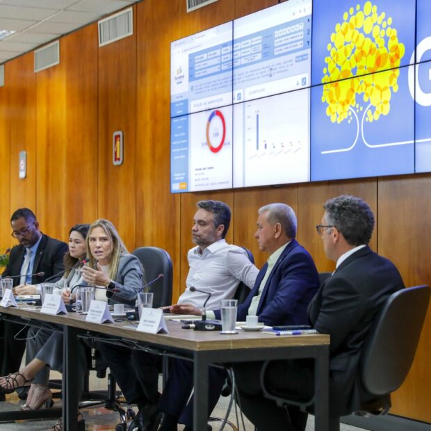 celina leao gestao secretariado