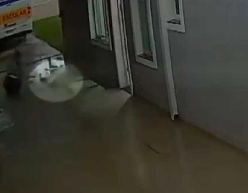 cachorro é levado por vento tornado no paraná