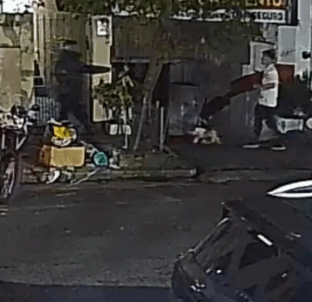 homem que passeava com cachorro é agredido por ladrões