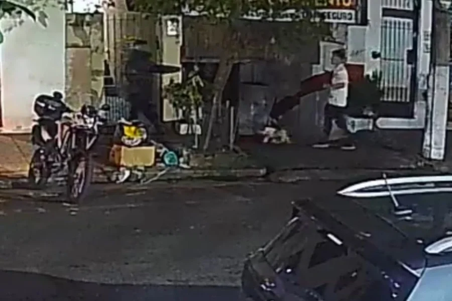 homem que passeava com cachorro é agredido por ladrões