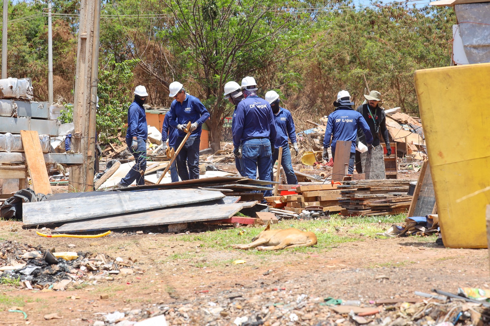 Foto: Agência Brasília