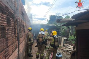 whatsapp image 2026 01 12 at 18.37.53