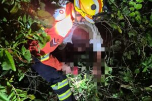 whatsapp image 2026 01 12 at 21.07.31