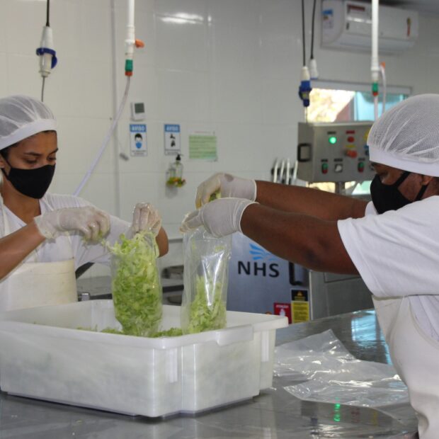 Foto: Divulgação/Seagri-DF