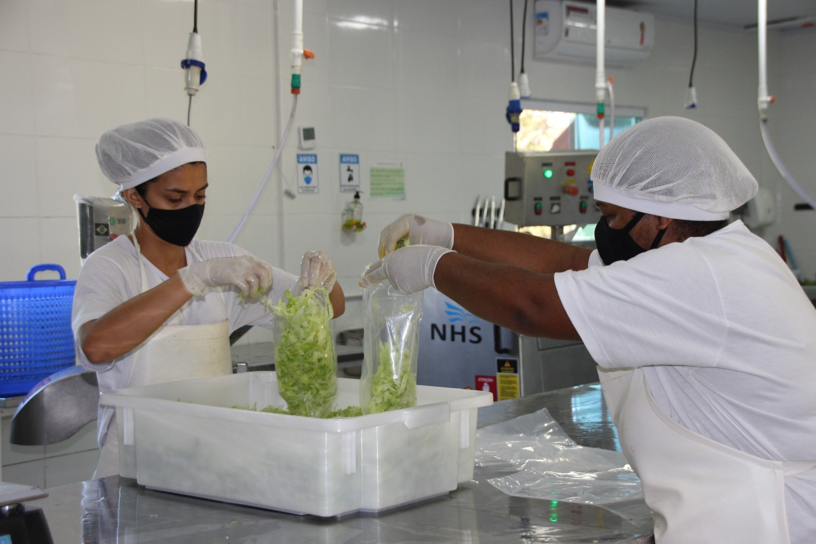 Foto: Divulgação/Seagri-DF