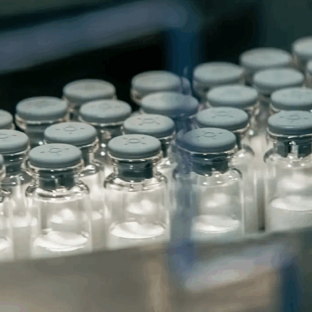 Foto: Butantan/Divulgação