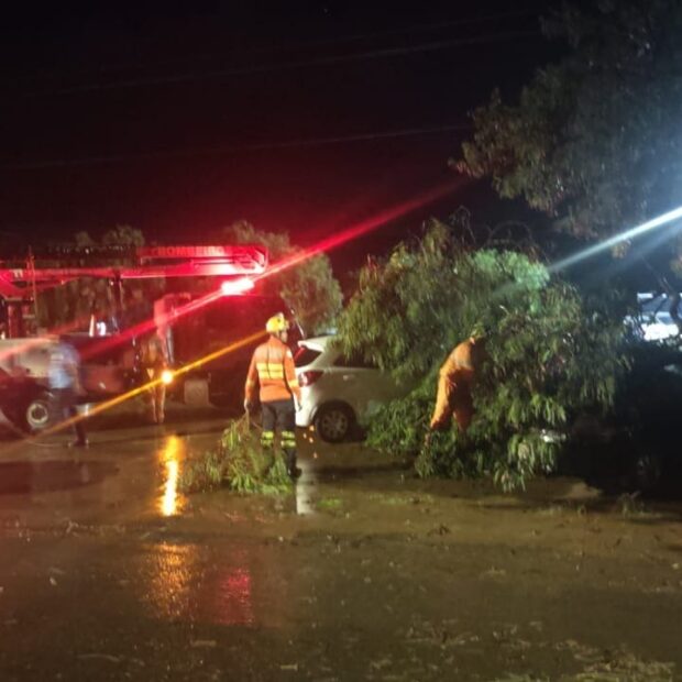 whatsapp image 2026 01 13 at 21.28.43