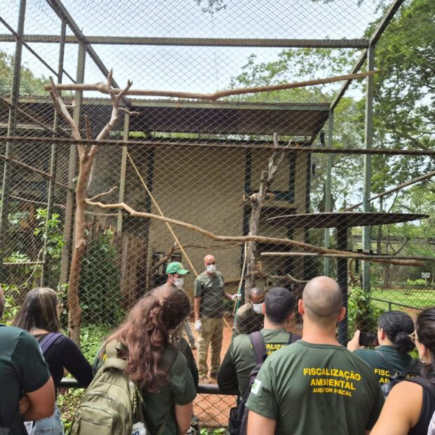 Foto: Divulgação/Brasília Ambiental