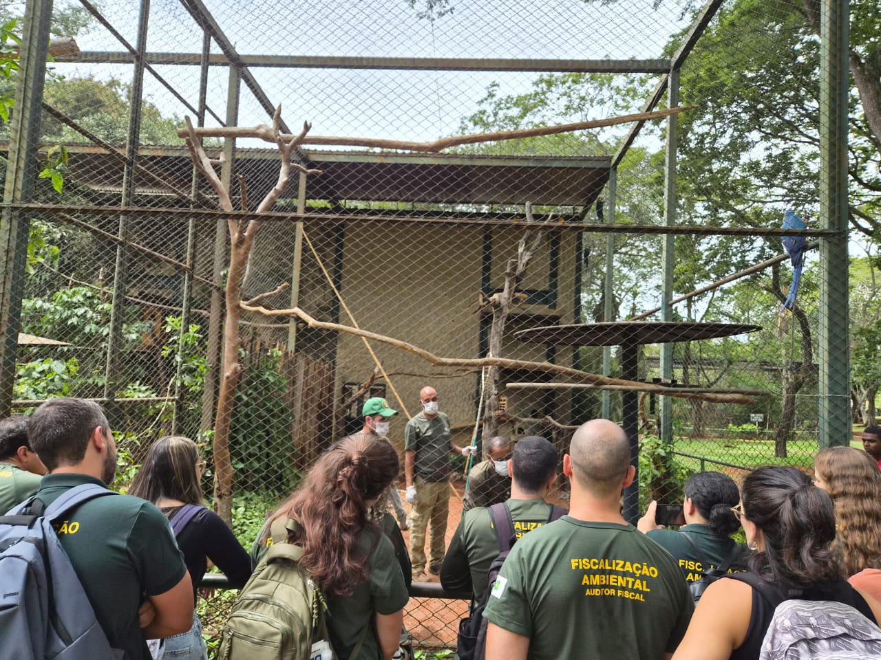 Foto: Divulgação/Brasília Ambiental