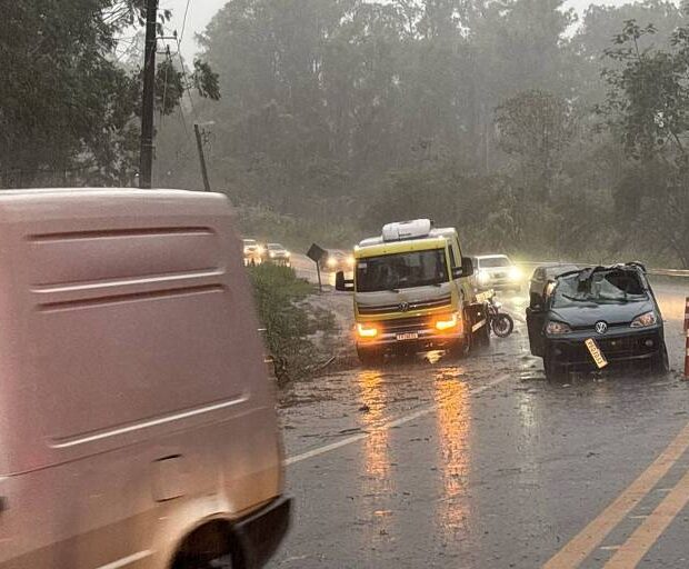 Árvore cai sobre carro após temporal