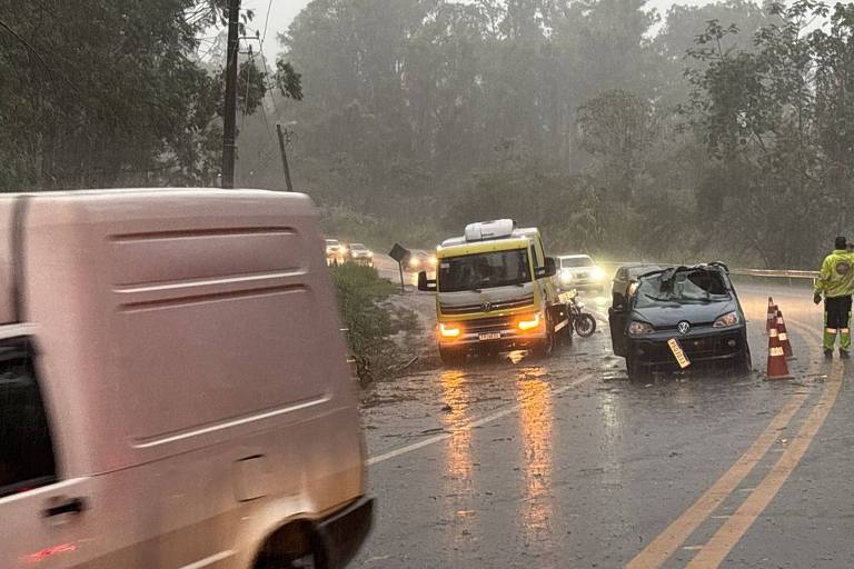 Árvore cai sobre carro após temporal