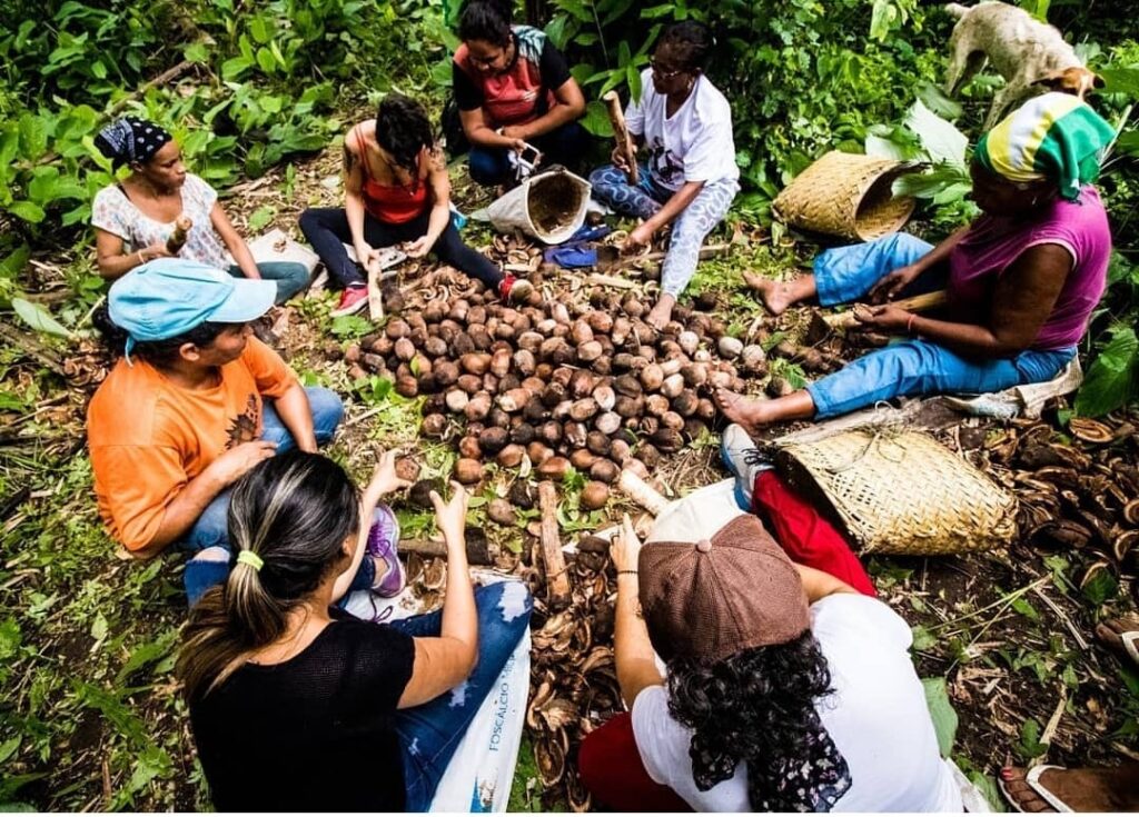 vozes foto2 davi mello pareia