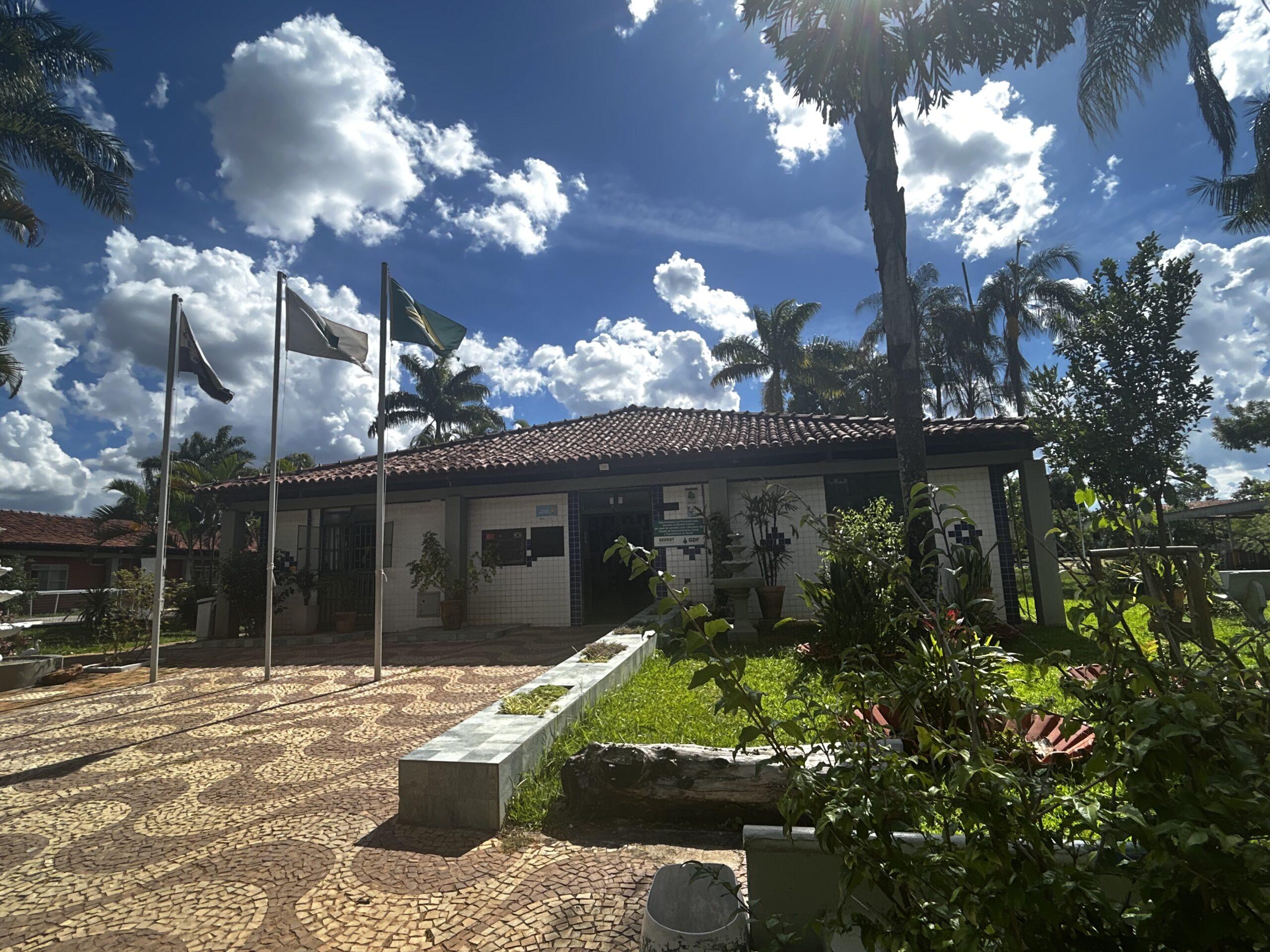 campanha “café com leite” mobiliza solidariedade para garantir cuidado diário a idosos no df créditos daniel xavier jornal de brasília (3)