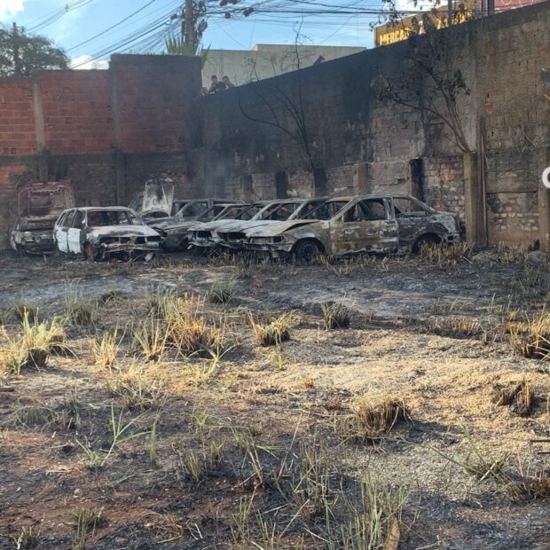 whatsapp image 2026 01 15 at 18.13.03