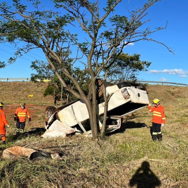 whatsapp image 2026 01 16 at 18.05.50