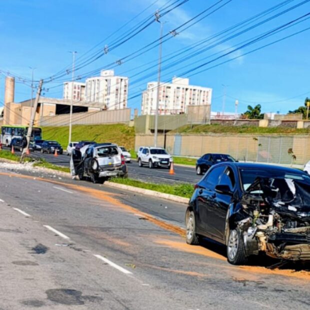 whatsapp image 2026 01 17 at 10.20.27