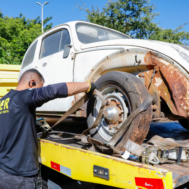 foto lucio bernardo jr (52)