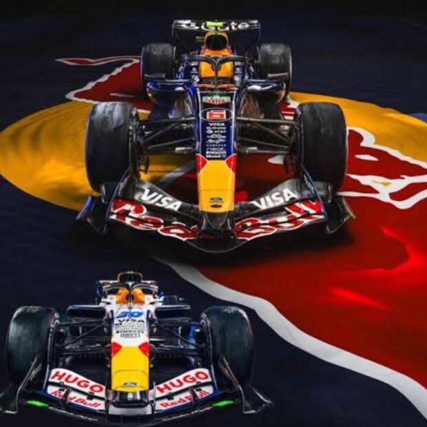 whatsapp image 2026 01 18 at 11.05.53