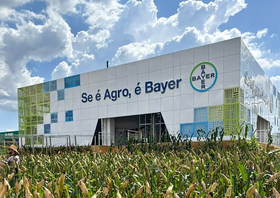 bayer