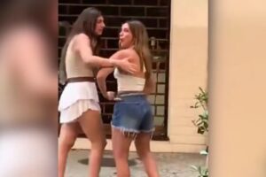 whatsapp image 2026 01 17 at 17.07.05 (1)